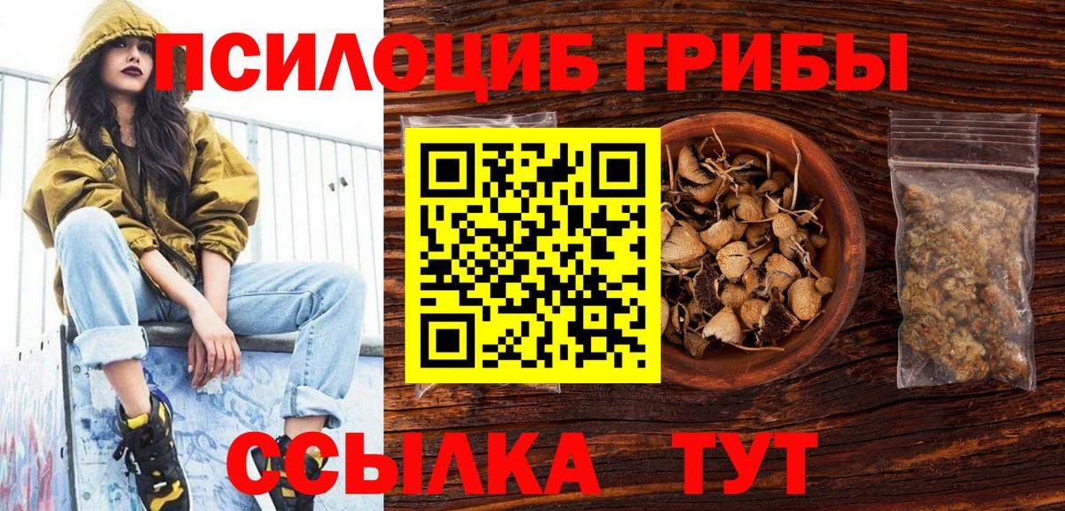 Псилоцибиновые грибы Psilocybe Сатка