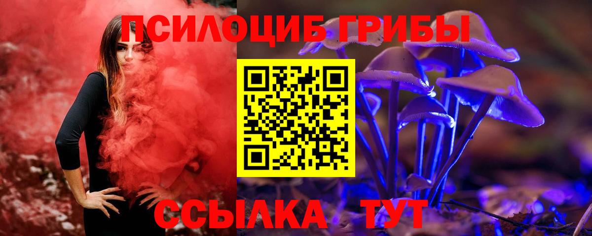 Сатка  Псилоцибиновые грибы MAGIC MUSHROOMS  Вход с VPN 